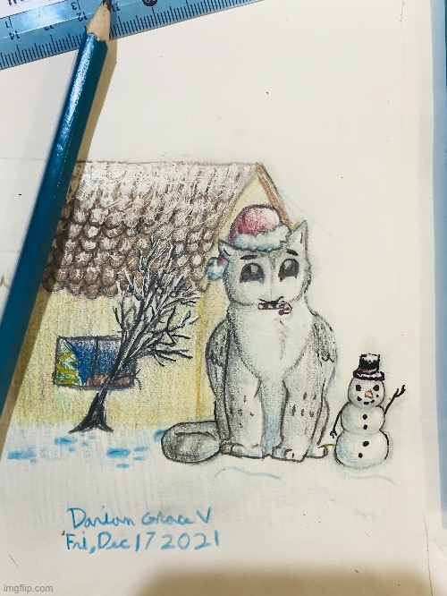 I finished it! | image tagged in cute,christmas,drawing,owl,uwu | made w/ Imgflip meme maker