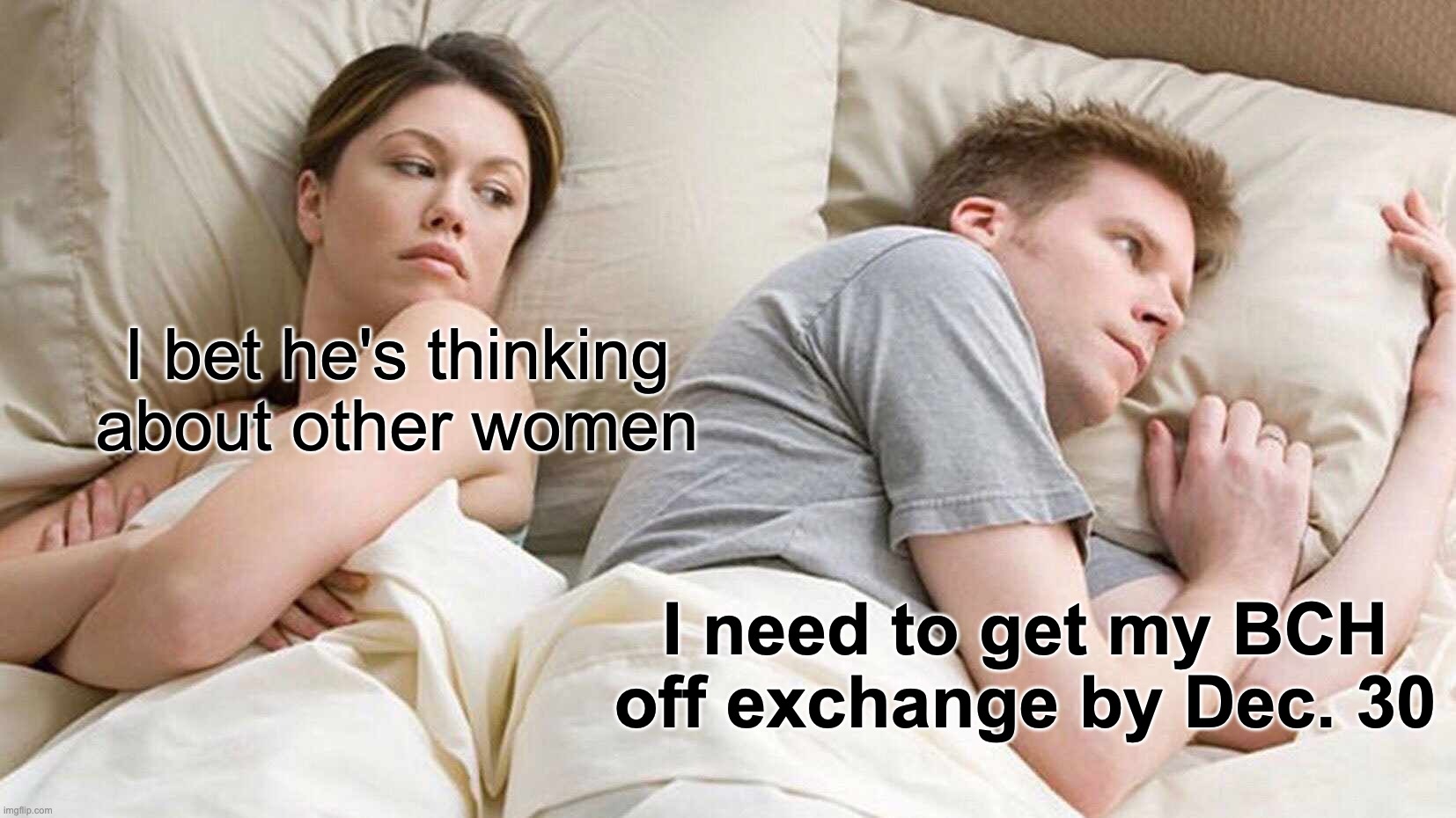 Sleep well. Bring your BCH home. r/btc