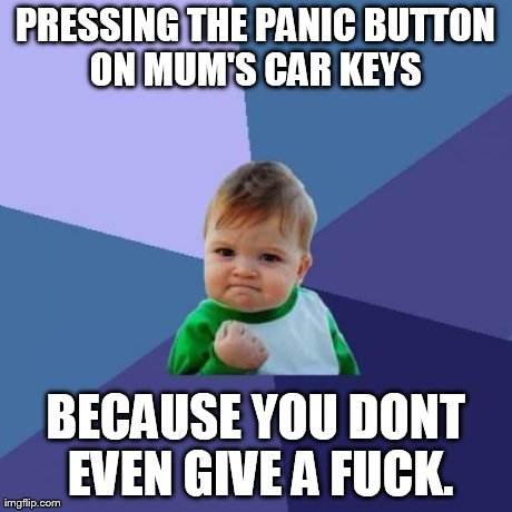 PRESSING THE PANIC BUTTON ON MUM'S CAR KEYS  BECAUSE YOU DONT EVEN GIVE A F**K. | image tagged in memes,success kid | made w/ Imgflip meme maker
