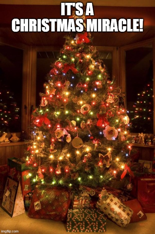Christmas Tree | IT'S A CHRISTMAS MIRACLE! | image tagged in christmas tree | made w/ Imgflip meme maker