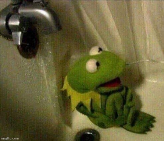 kermit crying terrified in shower | image tagged in kermit crying terrified in shower | made w/ Imgflip meme maker