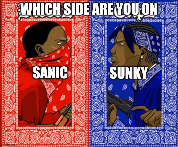 SUNKY FOR LIFE | WHICH SIDE ARE YOU ON; SANIC; SUNKY | made w/ Imgflip meme maker