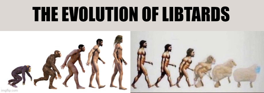 THE EVOLUTION OF LIBTARDS | made w/ Imgflip meme maker