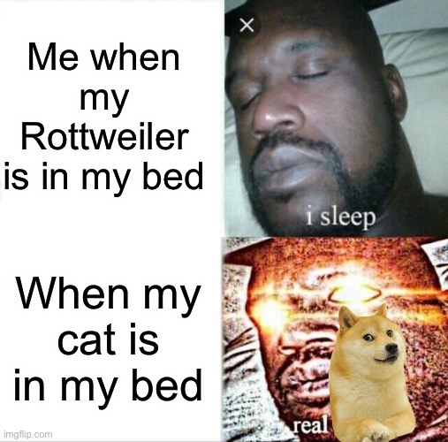 Sleeping Shaq | Me when my Rottweiler is in my bed; When my cat is in my bed | image tagged in memes,sleeping shaq | made w/ Imgflip meme maker