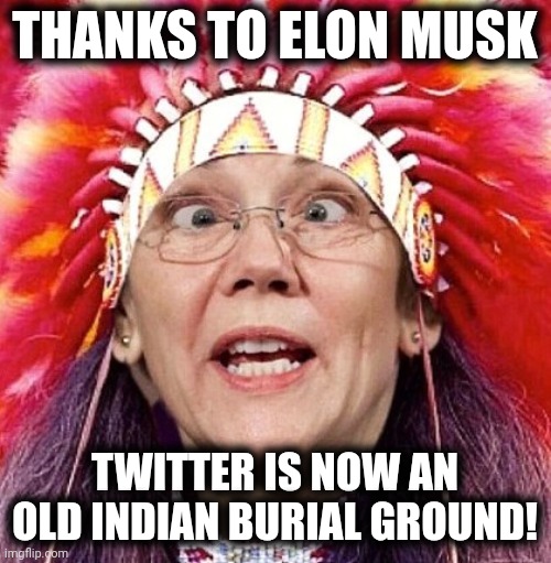Maybe she should just shut up. | THANKS TO ELON MUSK; TWITTER IS NOW AN OLD INDIAN BURIAL GROUND! | image tagged in elizabeth warren,meme,elon musk,twitter,old indian burial ground | made w/ Imgflip meme maker