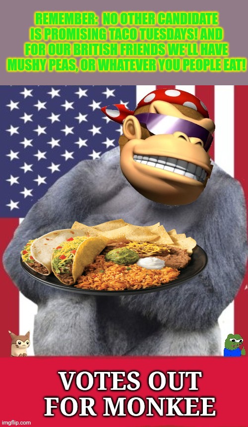 Taco Tuesday! | REMEMBER:  NO OTHER CANDIDATE IS PROMISING TACO TUESDAYS! AND FOR OUR BRITISH FRIENDS WE'LL HAVE MUSHY PEAS, OR WHATEVER YOU PEOPLE EAT! | image tagged in tacos,taco tuesday,common sense,party,vote,surlykong | made w/ Imgflip meme maker