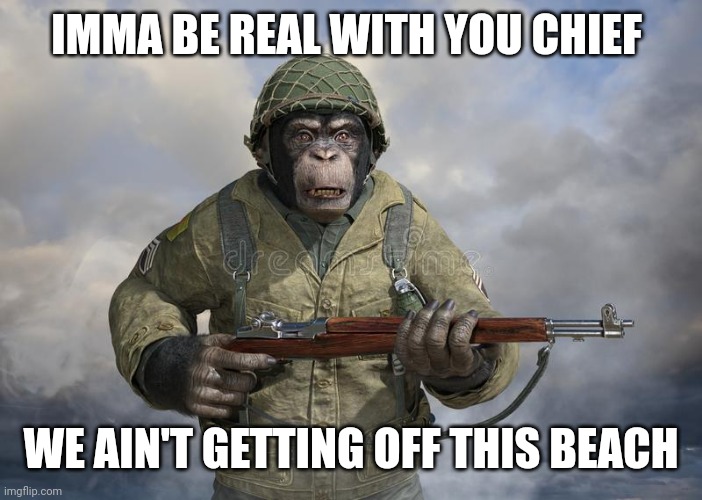 Being real with the chief | IMMA BE REAL WITH YOU CHIEF; WE AIN'T GETTING OFF THIS BEACH | image tagged in monkey,ww2,m1 garand | made w/ Imgflip meme maker