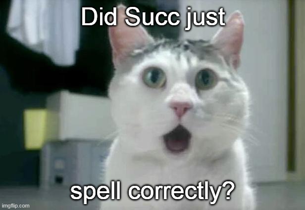 OMG Cat Meme | Did Succ just spell correctly? | image tagged in memes,omg cat | made w/ Imgflip meme maker