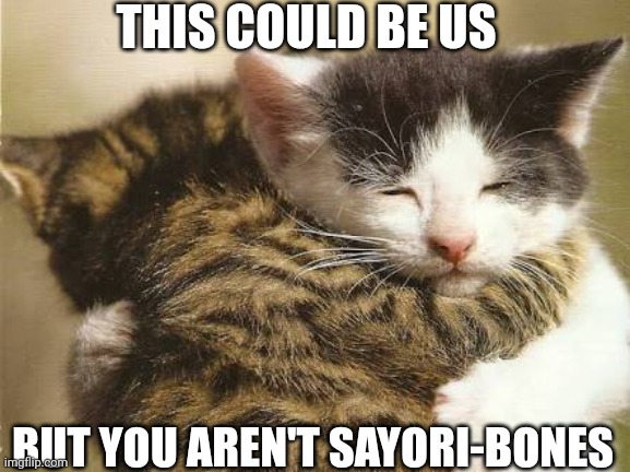 Hug cats | THIS COULD BE US; BUT YOU AREN'T SAYORI-BONES | image tagged in hug cats | made w/ Imgflip meme maker