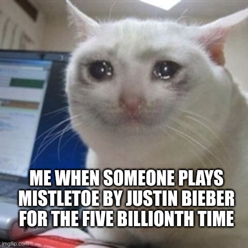i hate that song and people are playing it way too much | ME WHEN SOMEONE PLAYS MISTLETOE BY JUSTIN BIEBER FOR THE FIVE BILLIONTH TIME | image tagged in crying cat | made w/ Imgflip meme maker