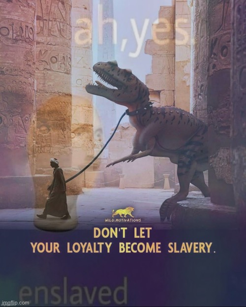Ah yes enslaved loyalty | image tagged in ah yes enslaved loyalty | made w/ Imgflip meme maker