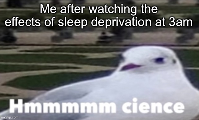 Hmm cience | Me after watching the effects of sleep deprivation at 3am | image tagged in hmm cience | made w/ Imgflip meme maker