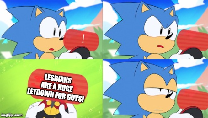 I heard a dummy say it at the subway xD | LESBIANS ARE A HUGE LETDOWN FOR GUYS! | image tagged in the sonic mania meme,lgbtq,memes,funny,lesbian | made w/ Imgflip meme maker