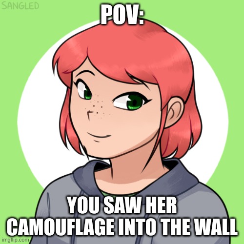 action/romance rp if you will. have fun | POV:; YOU SAW HER CAMOUFLAGE INTO THE WALL | made w/ Imgflip meme maker