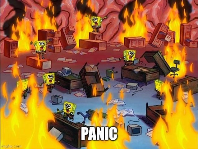 spongebob fire | PANIC | image tagged in spongebob fire | made w/ Imgflip meme maker