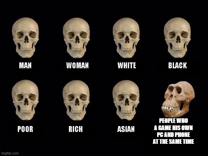 empty skulls of truth | PEOPLE WHO A GAME HIS OWN PC AND PHONE AT THE SAME TIME | image tagged in empty skulls of truth | made w/ Imgflip meme maker