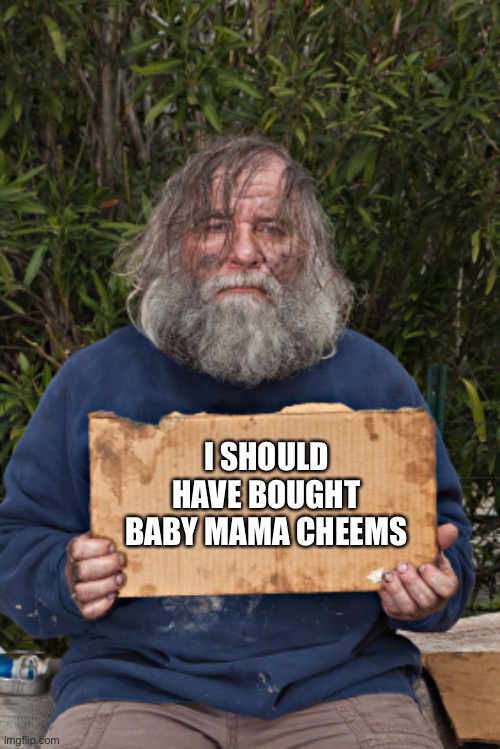 Blak Homeless Sign | I SHOULD HAVE BOUGHT BABY MAMA CHEEMS | image tagged in blak homeless sign | made w/ Imgflip meme maker