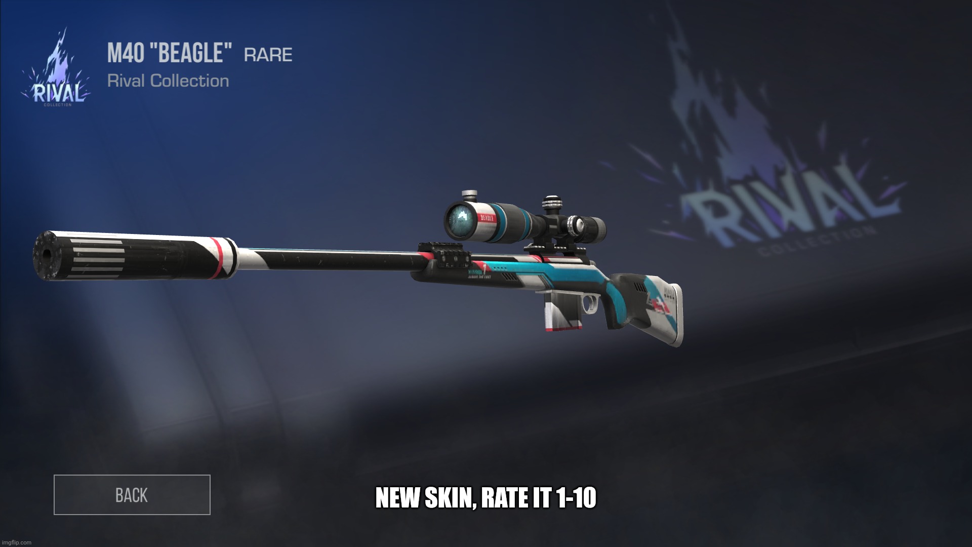 NEW SKIN, RATE IT 1-10 | made w/ Imgflip meme maker