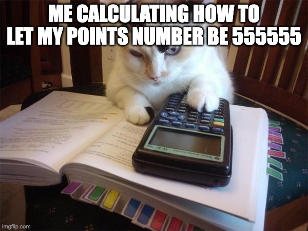 Math cat | ME CALCULATING HOW TO LET MY POINTS NUMBER BE 555555 | image tagged in math cat,math,calculator,imgflip points | made w/ Imgflip meme maker