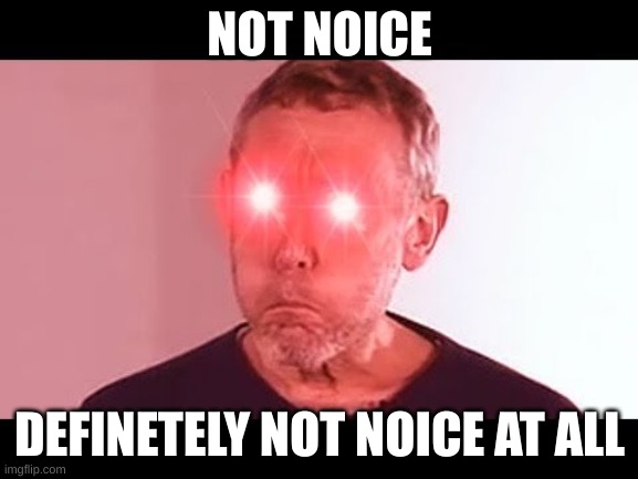 NANI? | NOT NOICE; DEFINETELY NOT NOICE AT ALL | image tagged in nani | made w/ Imgflip meme maker