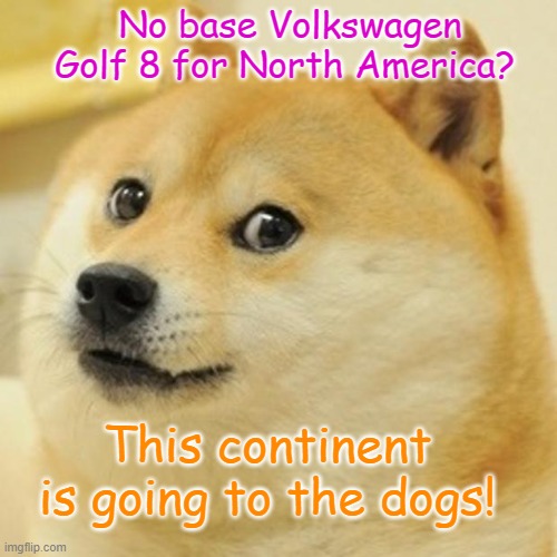 Dog Mark 8 Golf | No base Volkswagen Golf 8 for North America? This continent is going to the dogs! | image tagged in dog,vw golf,bring the base mark 8 golf to north america,golf 8 | made w/ Imgflip meme maker