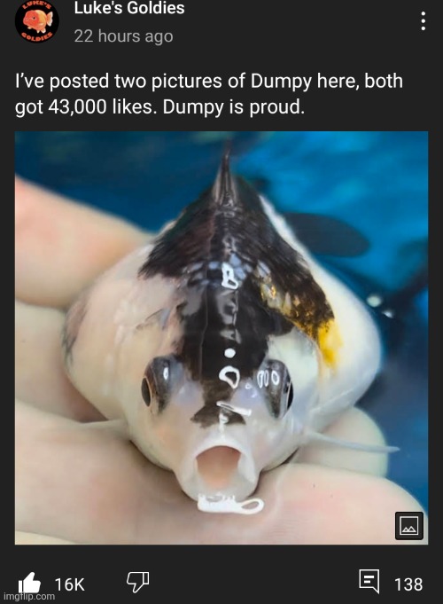 Dumpy | made w/ Imgflip meme maker