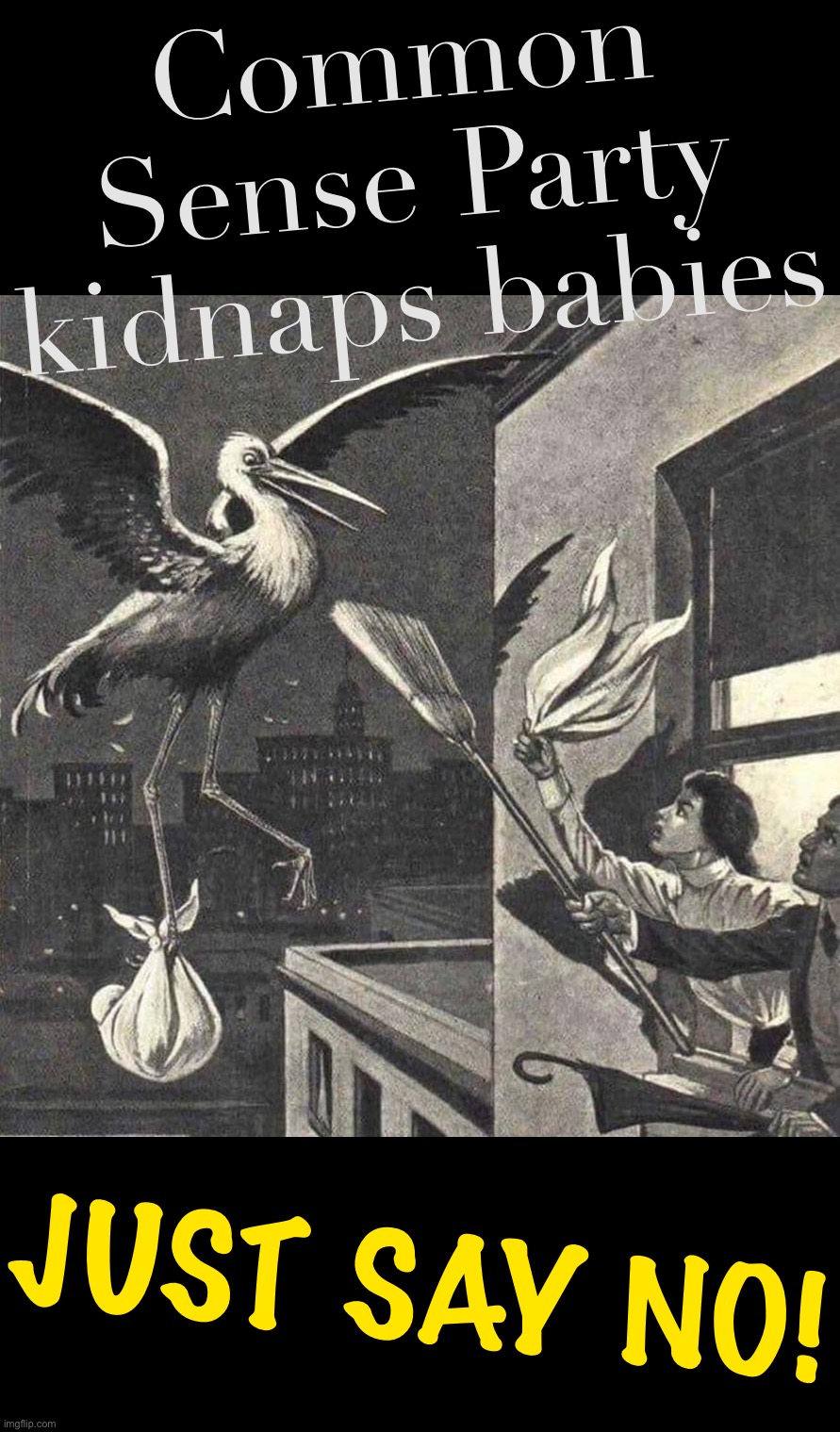 This Common Sense Stork just snatched this young married couple’s precious newborn, now they’re trying to get it back. :( | Common Sense Party kidnaps babies; JUST SAY NO! | image tagged in common,sense,party,kidnaps,babies,vote conservative party | made w/ Imgflip meme maker