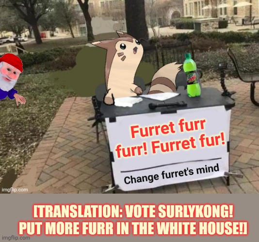 Fur | Furret furr furr! Furret fur! [TRANSLATION: VOTE SURLYKONG! PUT MORE FURR IN THE WHITE HOUSE!] | image tagged in change furret's mind,furret,pokemon,vote,surlykong | made w/ Imgflip meme maker