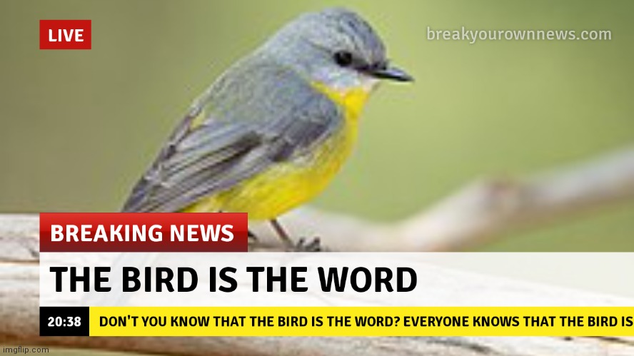image tagged in the bird is the word | made w/ Imgflip meme maker