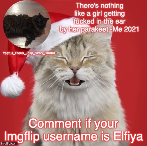Christmas Template | Comment if your Imgflip username is Elfiya | image tagged in christmas template | made w/ Imgflip meme maker