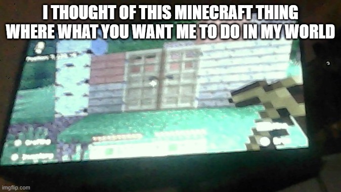 The basic idea is tell me what I should do in the comments and I will do it the next photo Will be posted just after I comple it | I THOUGHT OF THIS MINECRAFT THING WHERE WHAT YOU WANT ME TO DO IN MY WORLD | made w/ Imgflip meme maker
