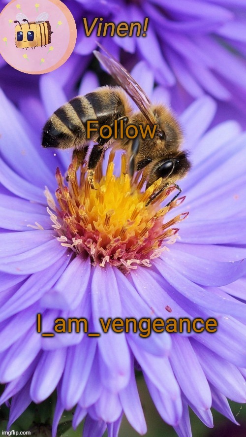 Beeess | Follow; I_am_vengeance | image tagged in beeess | made w/ Imgflip meme maker