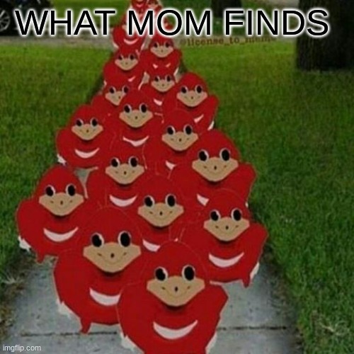 Ugandan knuckles army | WHAT MOM FINDS | image tagged in ugandan knuckles army | made w/ Imgflip meme maker