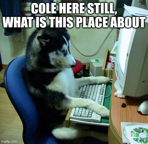 I Have No Idea What I Am Doing | COLE HERE STILL, WHAT IS THIS PLACE ABOUT | image tagged in memes,i have no idea what i am doing | made w/ Imgflip meme maker