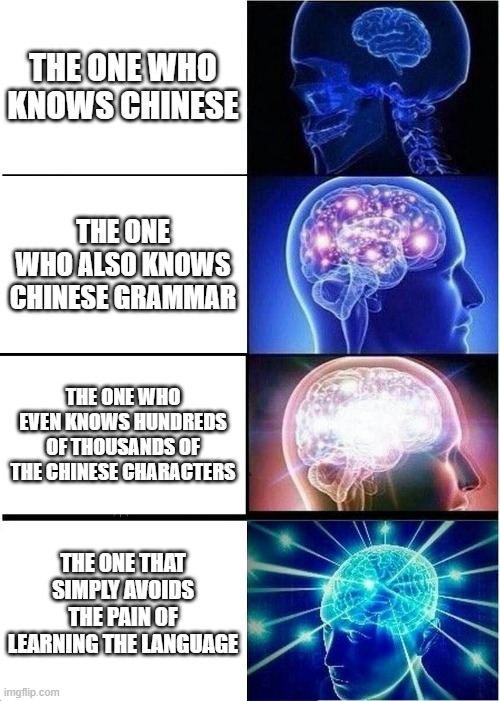 The Lazy People |  THE ONE WHO KNOWS CHINESE; THE ONE WHO ALSO KNOWS CHINESE GRAMMAR; THE ONE WHO EVEN KNOWS HUNDREDS OF THOUSANDS OF THE CHINESE CHARACTERS; THE ONE THAT SIMPLY AVOIDS THE PAIN OF LEARNING THE LANGUAGE | image tagged in memes,expanding brain,chinese,languages,lazy | made w/ Imgflip meme maker