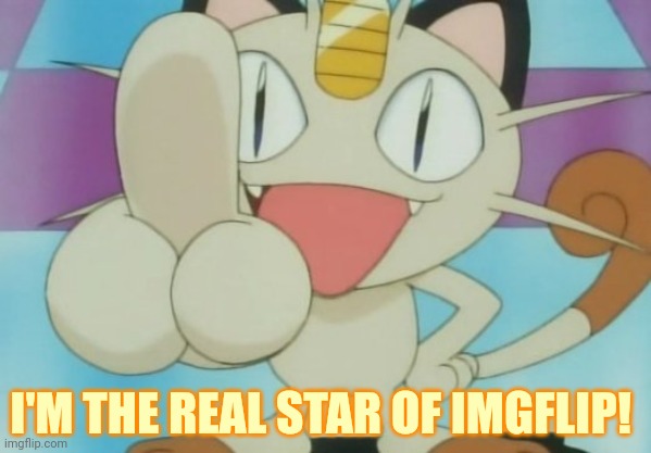 Meowth | I'M THE REAL STAR OF IMGFLIP! | image tagged in meowth dickhand,meowth,pokemon,anime,team rocket | made w/ Imgflip meme maker