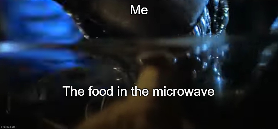 What the food in the microwave sees. | Me; The food in the microwave | image tagged in alien studying cat | made w/ Imgflip meme maker