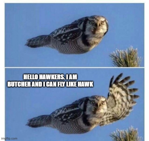 hawk that say hello | HELLO HAWKERS. I AM BUTCHER AND I CAN FLY LIKE HAWK | image tagged in hawk that say hello | made w/ Imgflip meme maker