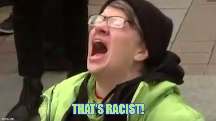 Screaming Liberal  | THAT’S RACIST! | image tagged in screaming liberal | made w/ Imgflip meme maker