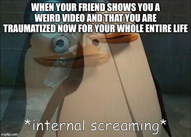 Private Internal Screaming |  WHEN YOUR FRIEND SHOWS YOU A WEIRD VIDEO AND THAT YOU ARE TRAUMATIZED NOW FOR YOUR WHOLE ENTIRE LIFE | image tagged in private internal screaming | made w/ Imgflip meme maker