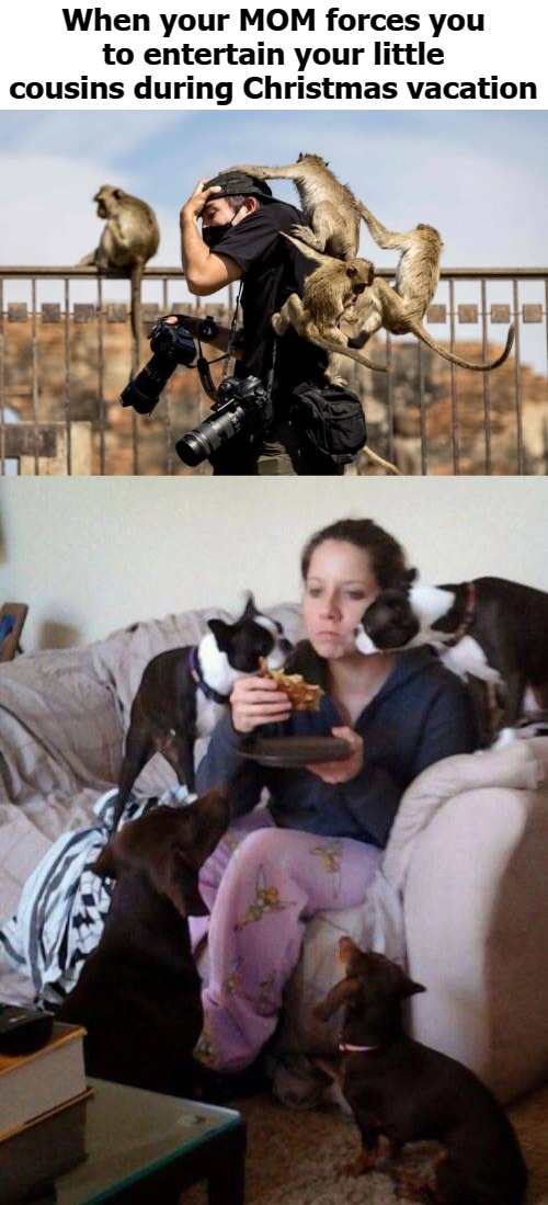 When your MOM forces you to entertain your little cousins during Christmas vacation | image tagged in paoiudfp | made w/ Imgflip meme maker