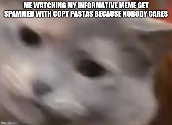 BRUH IM EXPLAINING SHIT I DONT CARE- | ME WATCHING MY INFORMATIVE MEME GET SPAMMED WITH COPY PASTAS BECAUSE NOBODY CARES | image tagged in shooked cat | made w/ Imgflip meme maker