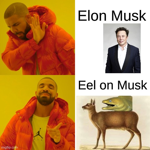Drake Hotline Bling | Elon Musk; Eel on Musk | image tagged in memes,drake hotline bling,funny,lmao,elon musk | made w/ Imgflip meme maker