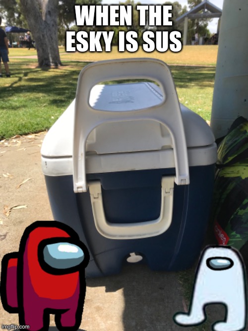 When the esky is sus | WHEN THE ESKY IS SUS | image tagged in sus,among us,amogus,esky | made w/ Imgflip meme maker
