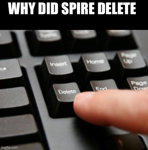 Delete | WHY DID SPIRE DELETE | image tagged in delete | made w/ Imgflip meme maker