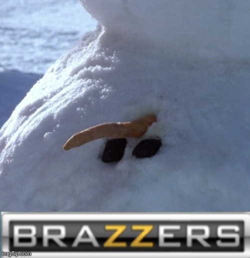 image tagged in donald trump brazzers | made w/ Imgflip meme maker