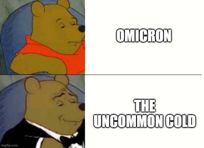 Omichronic | OMICRON; THE UNCOMMON COLD | image tagged in fancy winnie the pooh meme | made w/ Imgflip meme maker