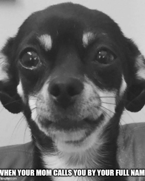 Mom meme | image tagged in so true memes | made w/ Imgflip meme maker