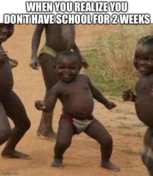 ?️?? | WHEN YOU REALIZE YOU DON’T HAVE SCHOOL FOR 2 WEEKS | image tagged in memes,third world success kid | made w/ Imgflip meme maker