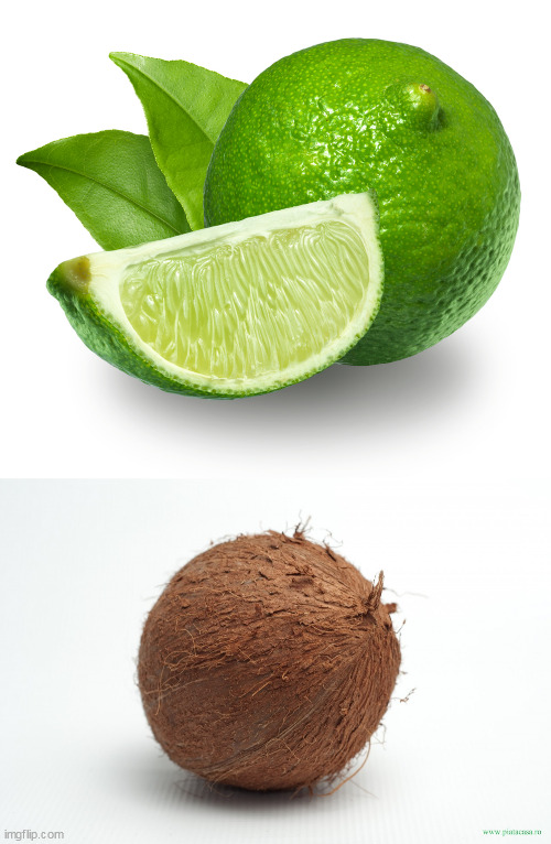 image tagged in lime,coconut | made w/ Imgflip meme maker